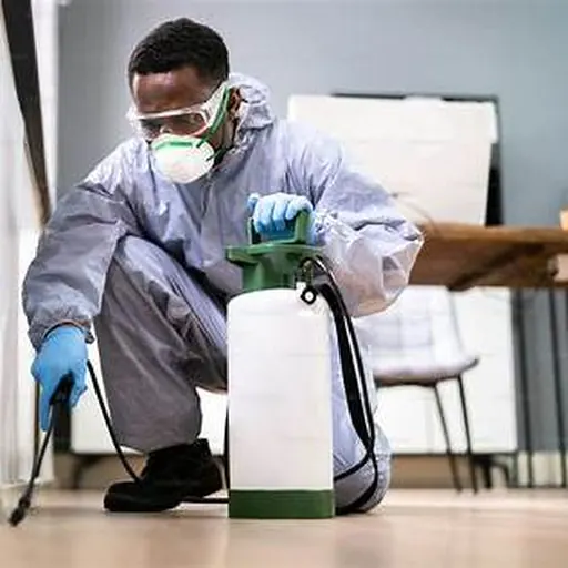 Professional fumigation service