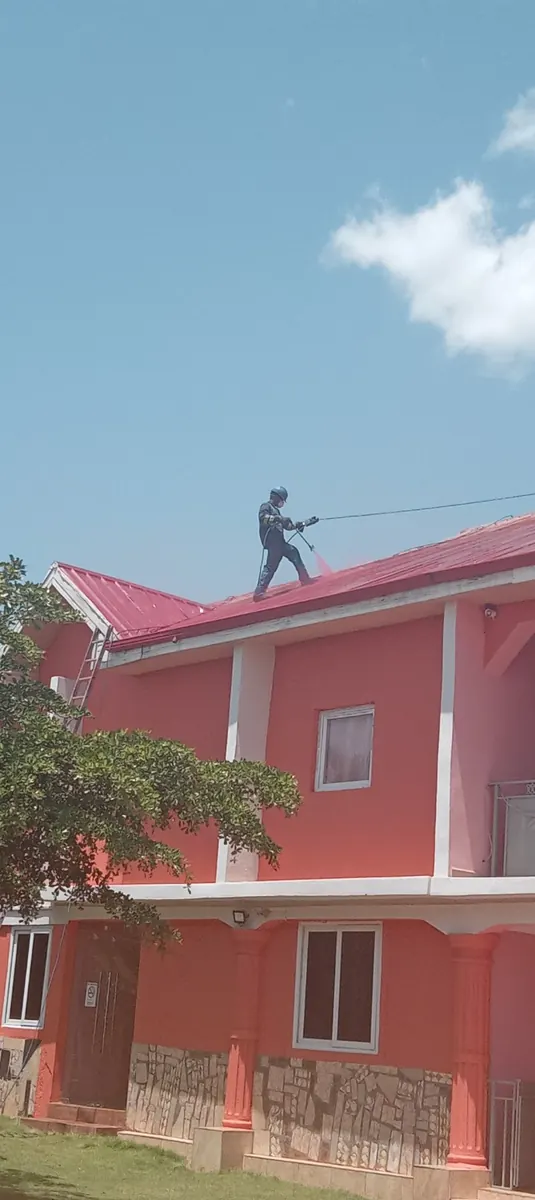 Delohem real field work - roof washing